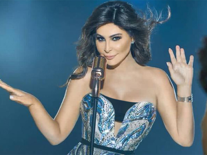 ماذا حدث لإليسا حين لم تتنبه لهذا الأمر على المسرح.. اضغط لمشاهدة الفيديو